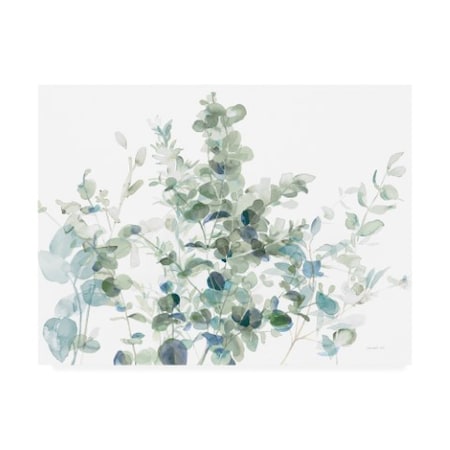 Danhui Nai 'Eucalyptus I Cool' Canvas Art,14x19